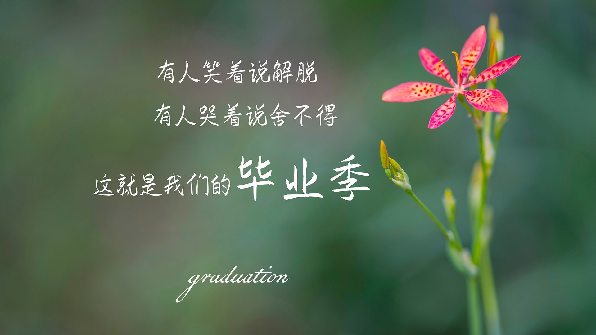 新闻中心完成数字经济布局，数字化经济新闻