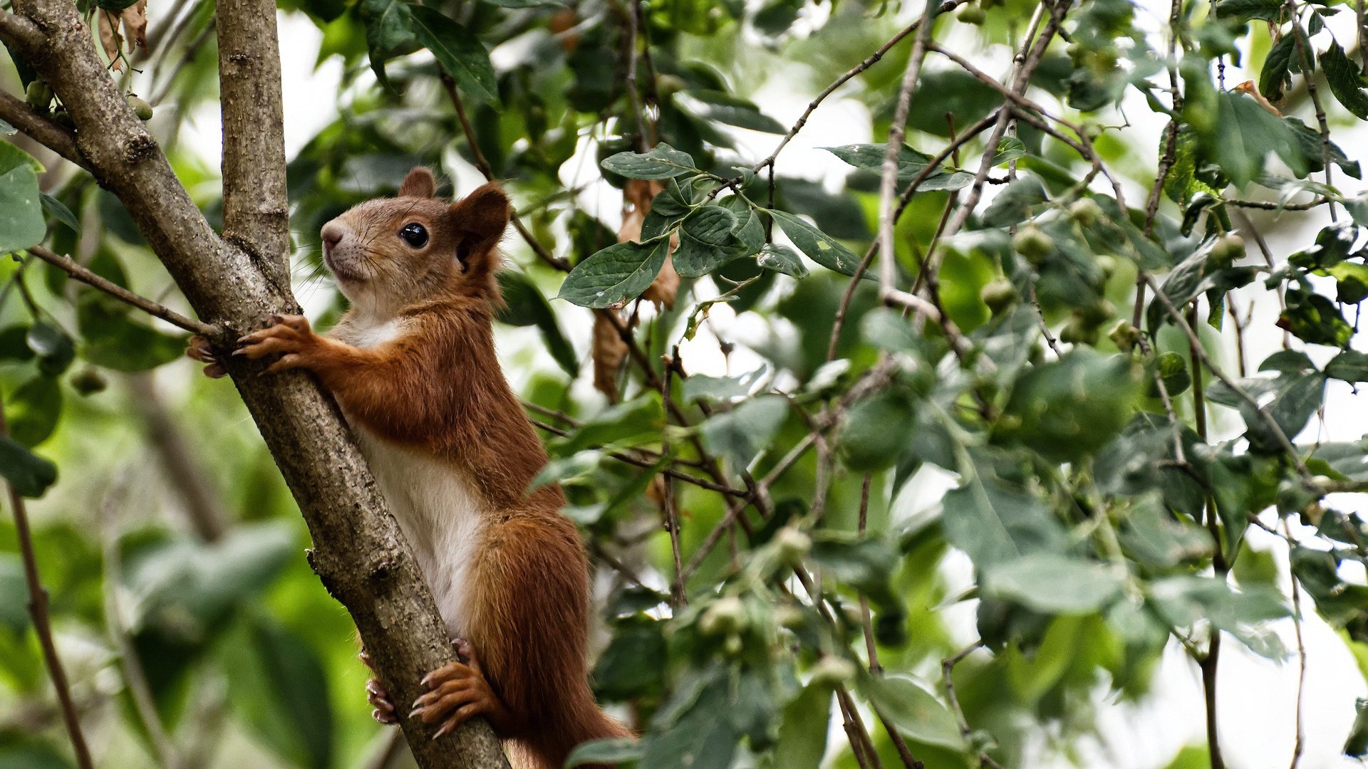 九游娱乐APP-中小学体育课程与地方特色体育资源融合机制，中小学体育课程教学改革